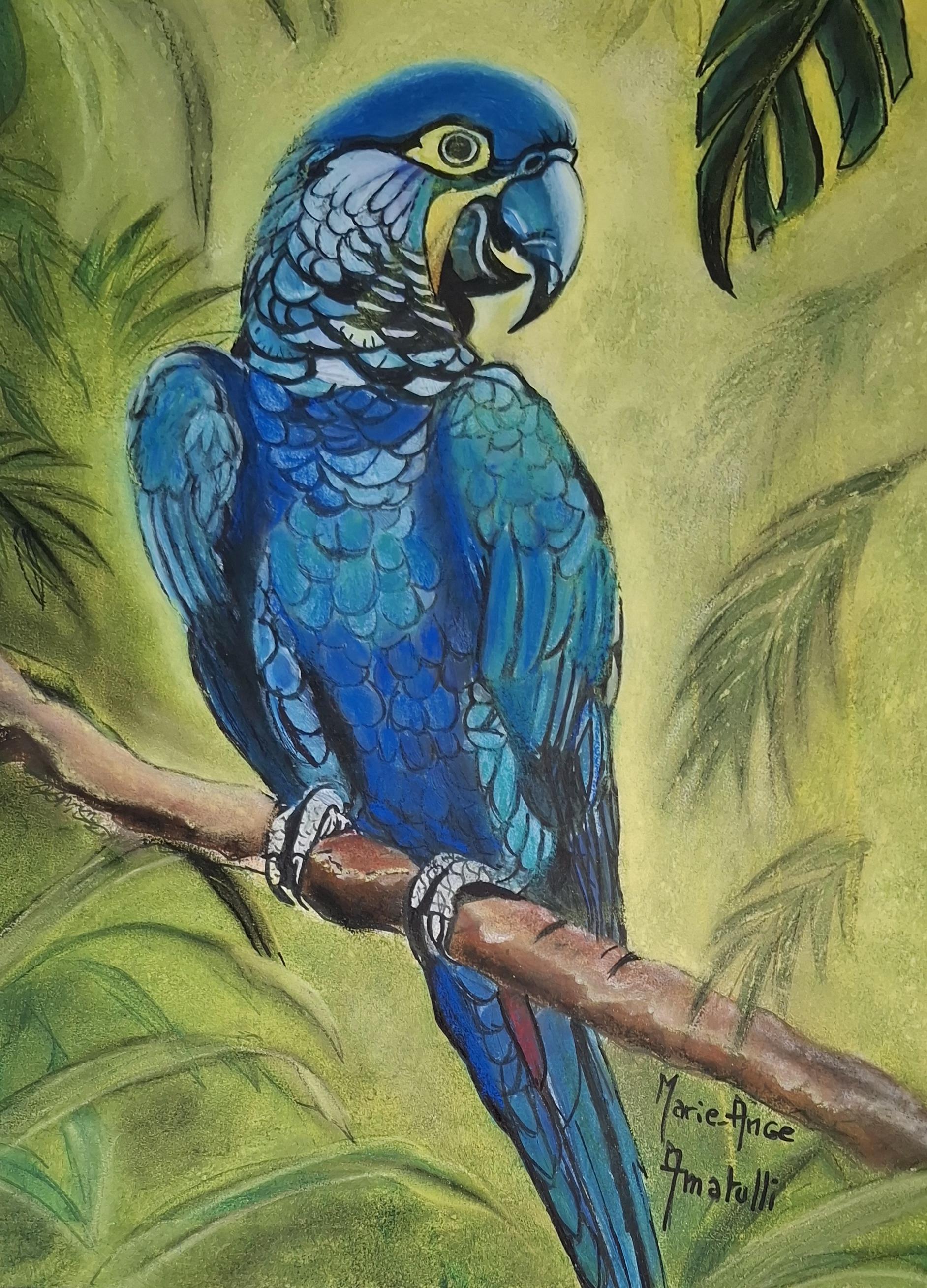 Oiseau bleu des îles - Pastel sec 22x40 par Marie-Ange Amatulli
